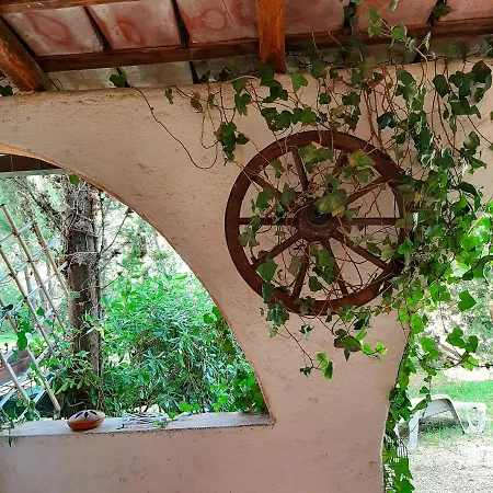 Le Del Riccio - Isola D'elba Semesterbostad