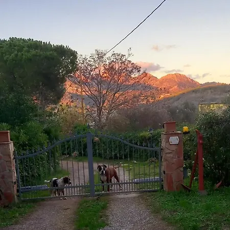 Le Del Riccio - Isola D'elba
