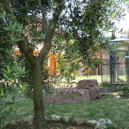 Semesterbostad Le Del Riccio - Isola D'elba