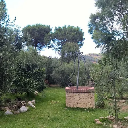 Le Del Riccio - Isola D'elba Capoliveri (Isola d'Elba)