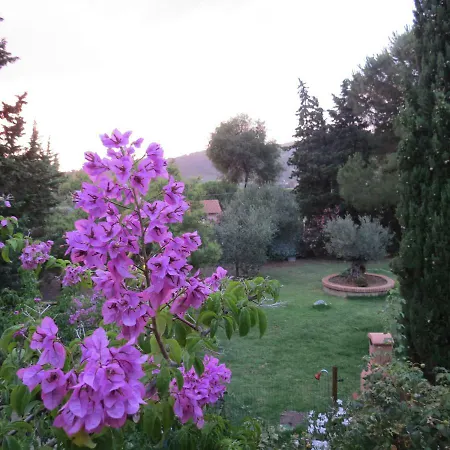 Le Del Riccio - Isola D'elba Semesterbostad *